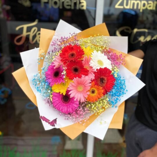 Ramo de 12 gerberas tonos variados con follaje baby