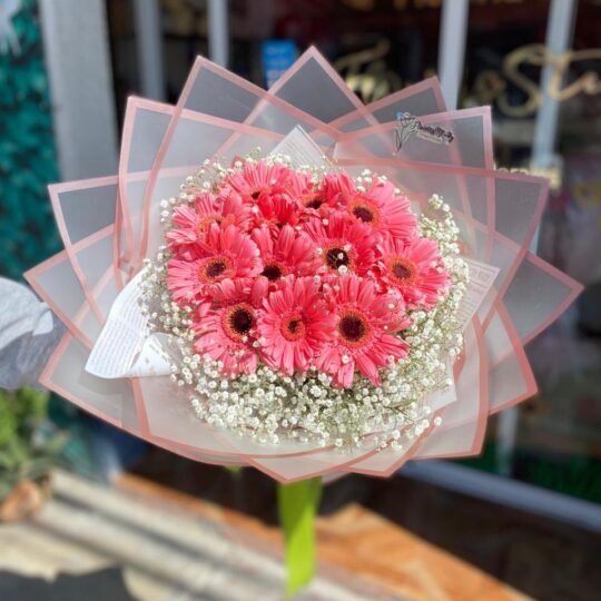 Ramo de 10 gerberas (color a elegir) y follaje baby