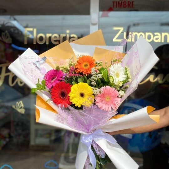 Ramo de 6 gerberas en tonos variados y follaje mixto